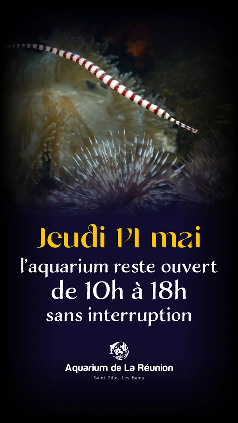 Bannière indiquant l'ouverture de l'Aquarium de 10h à 18h le 14 mai 2026 (jour férié).