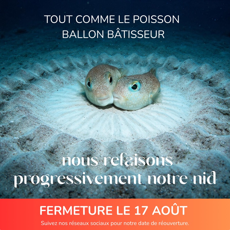 Bannière indiquant la fermerture de l'Aquarium de La Réunion pour travaux. Elle comporte le texte "Tout comme le poisson Bâtisseur, nous refaisons progressivement notre nid. Suivez-nous sur les réseaux sociaux pour être informé de la date de réouverture"