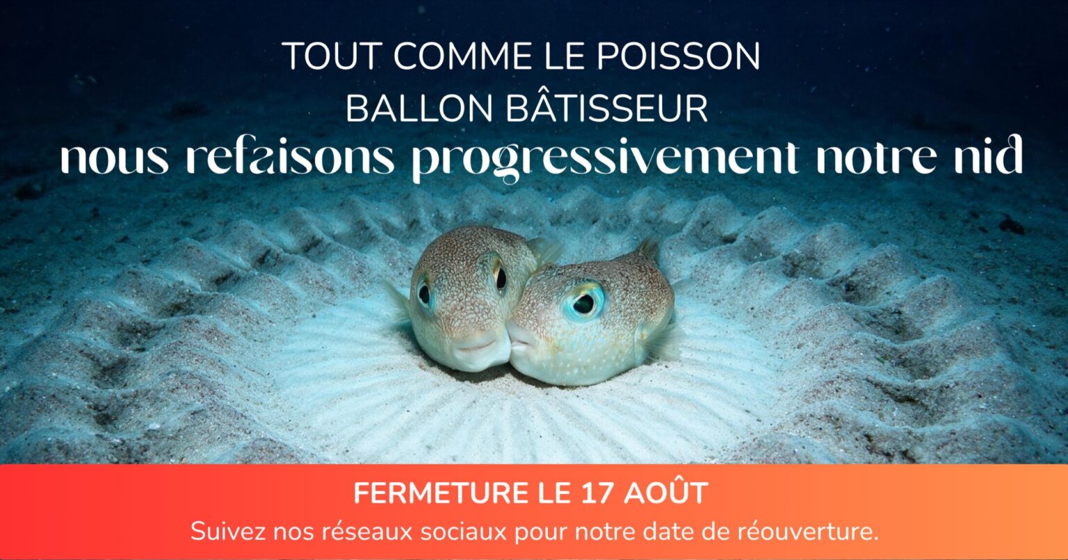 Bannière indiquant la fermerture de l'Aquarium de La Réunion pour travaux. Elle comporte le texte "Tout comme le poisson Bâtisseur, nous refaisons progressivement notre nid. Suivez-nous sur les réseaux sociaux pour être informé de la date de réouverture"